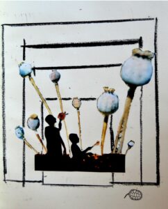 Poppy plant- collage